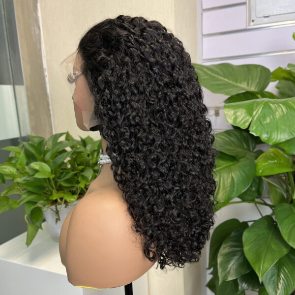 #1b Natural Black Double Drawn Pissy Curly 13x4 Transparent Lace Full Frontal Wig - Image 3